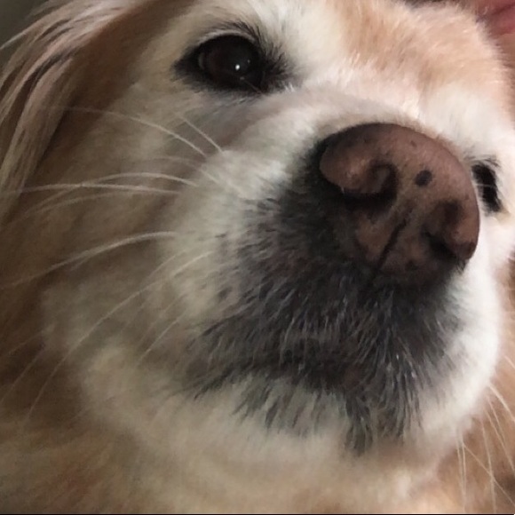 emmie1012